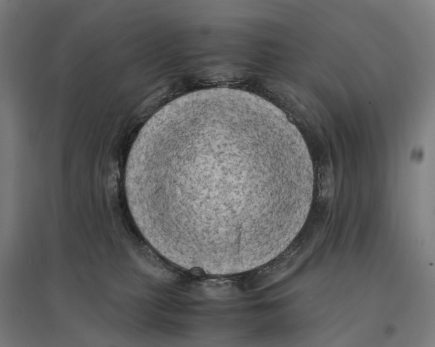 X0000095120279200712301807