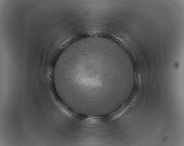 X0000095120280200712301807