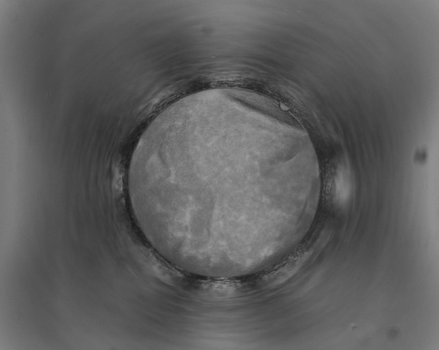 X0000095120282200712301807