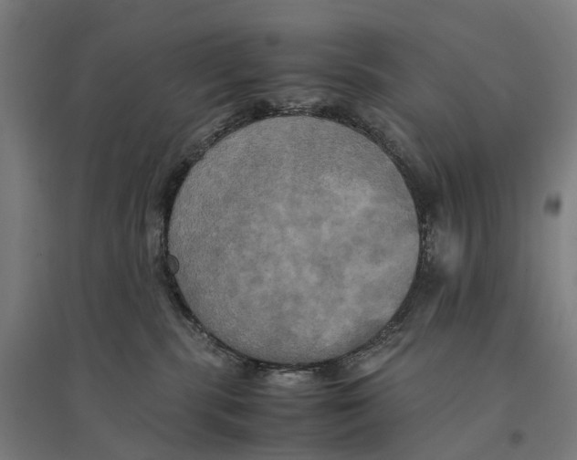 X0000095120283200712301808