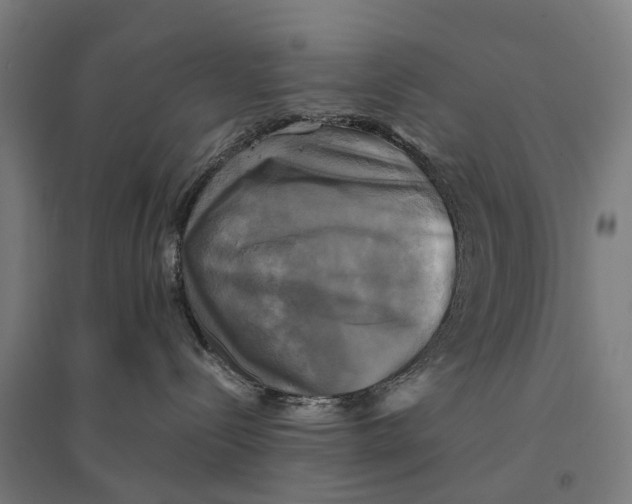 X0000095120288200712301808