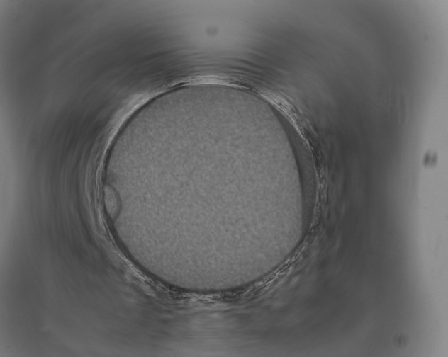 X0000095120289200712301807