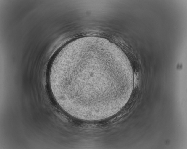 X0000095120291200712301807