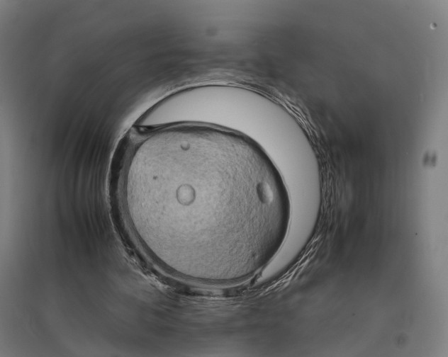 X0000095120292200712301807