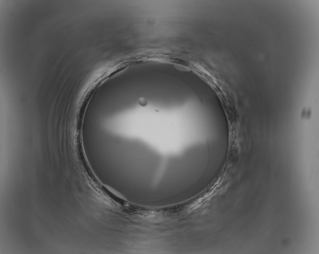 X0000095120293200712301807