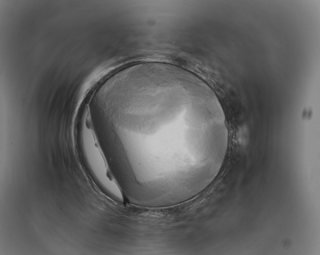 X0000095120294200712301807