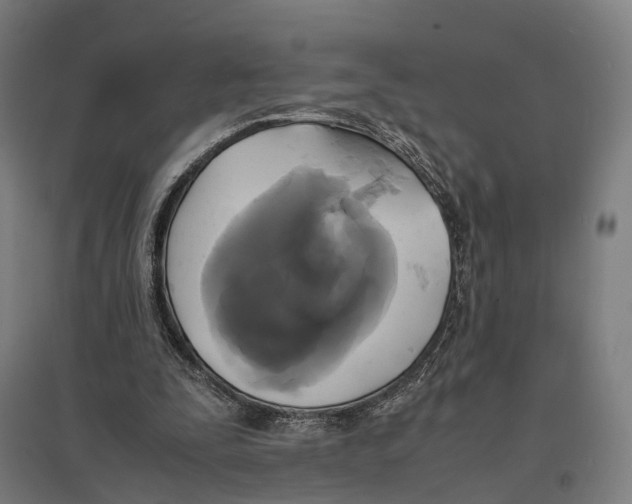 X0000095120295200712301807