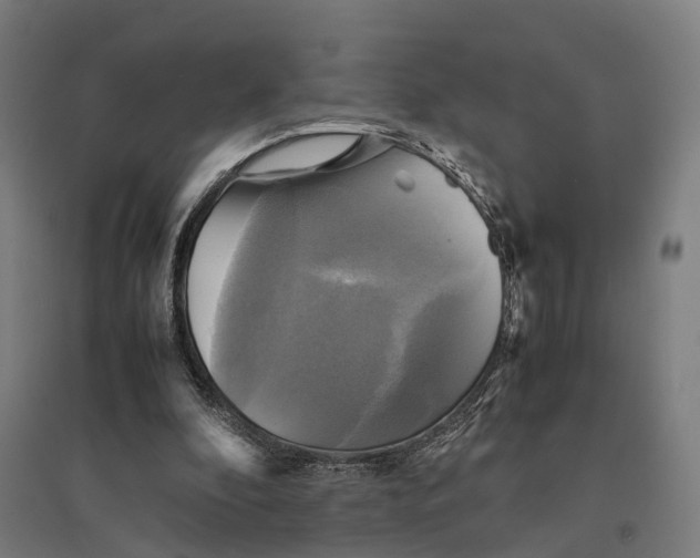 X0000095120296200712301807