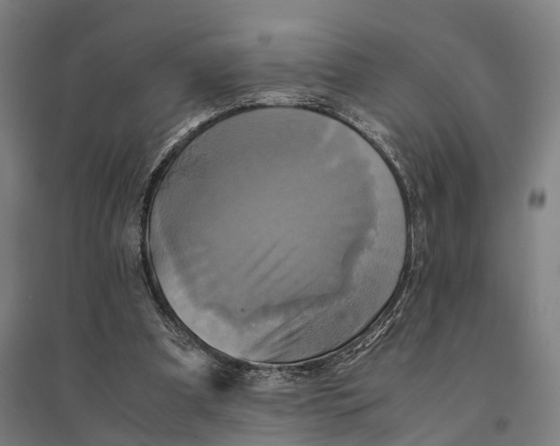 X0000095120297200712301807