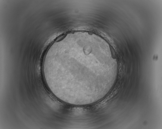 X0000095120298200712301807