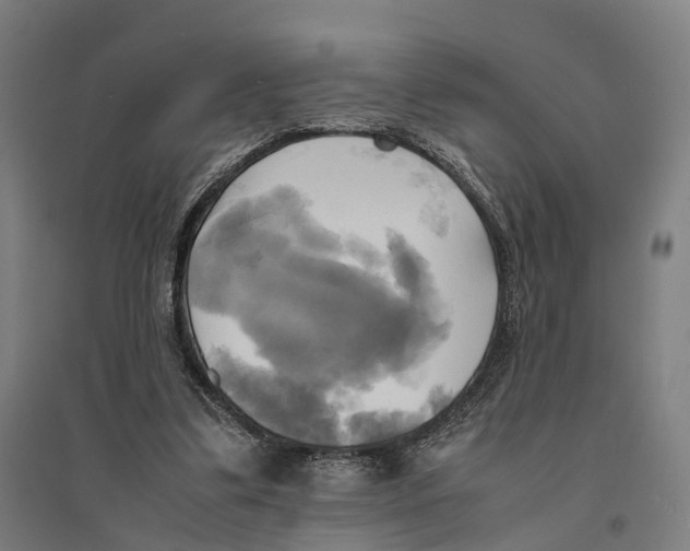 X0000095120299200712301807