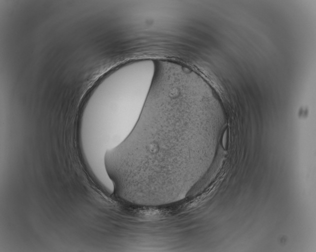 X0000095120301200712301807