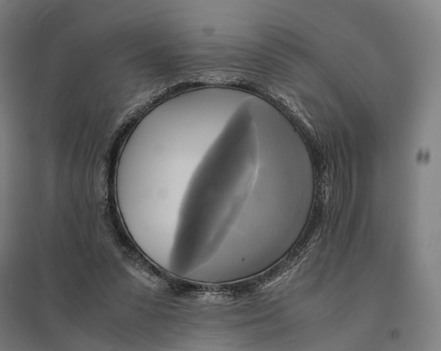 X0000095120303200712301807