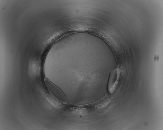 X0000095120304200712301807