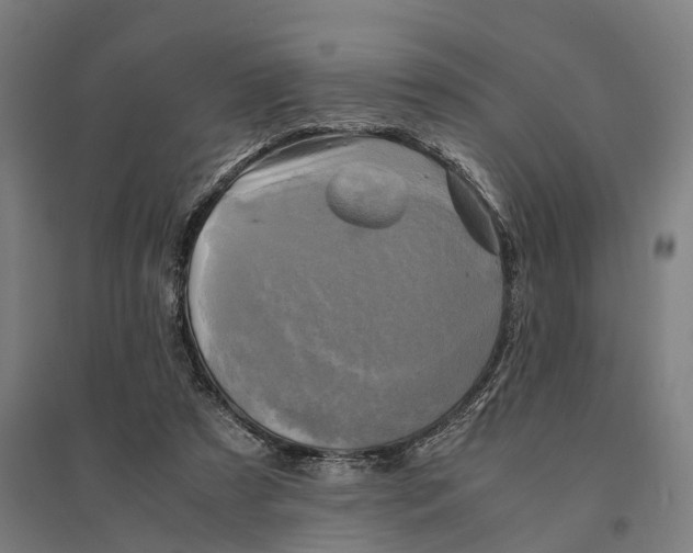 X0000095120305200712301807