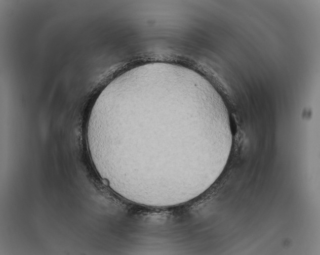 X0000095120306200712301807