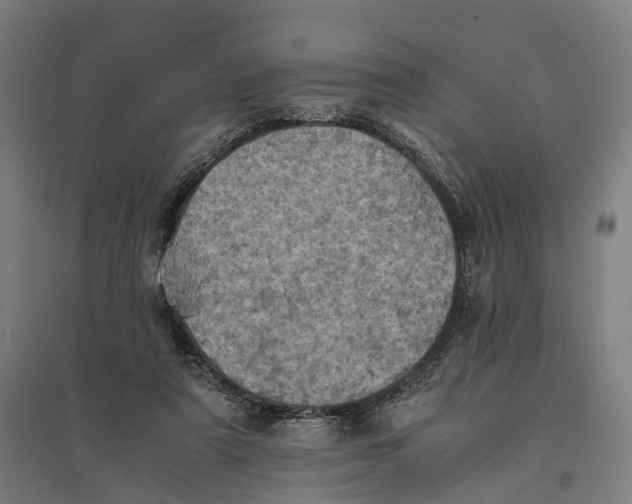 X0000095120307200712301806