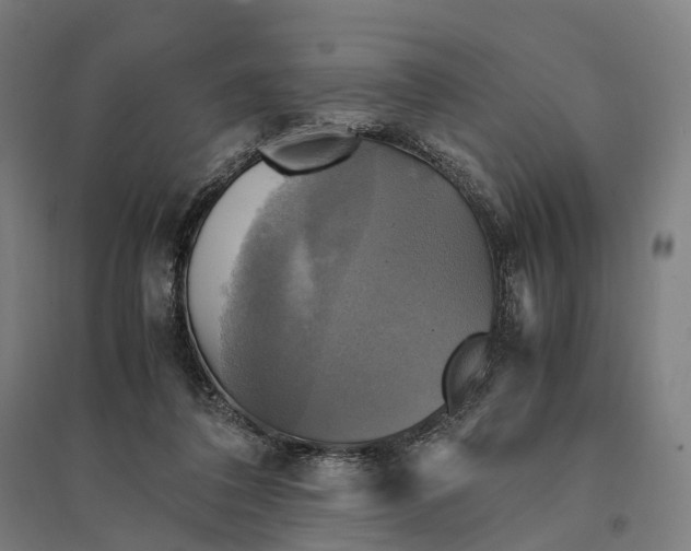 X0000095120308200712301806