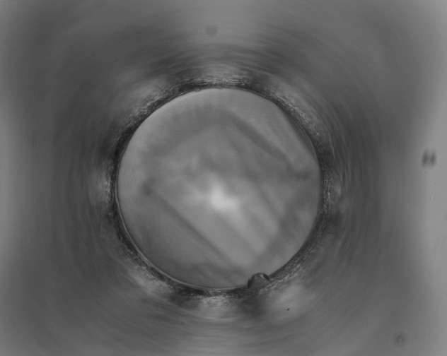 X0000095120309200712301806