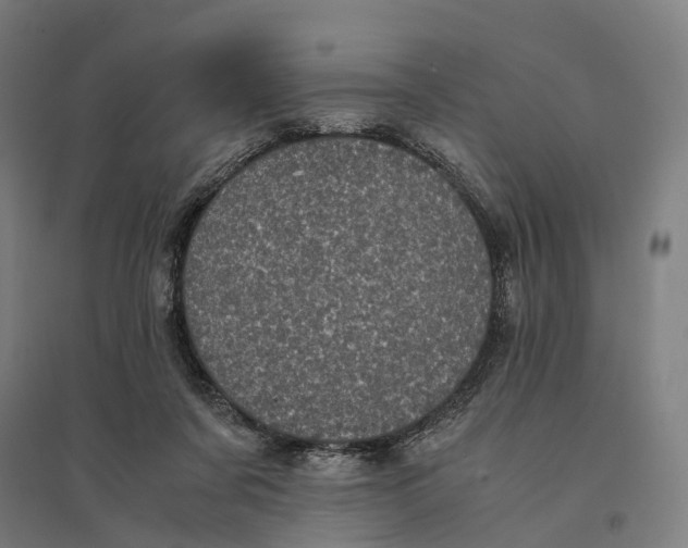 X0000095120311200712301806