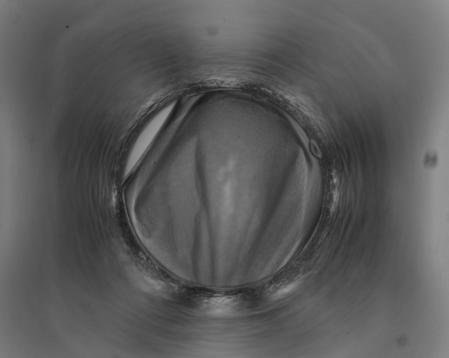 X0000095120312200712301806