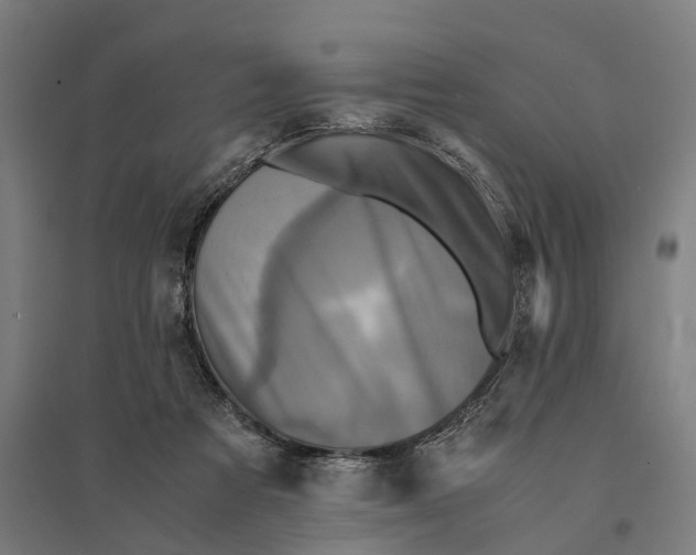 X0000095120313200712301806