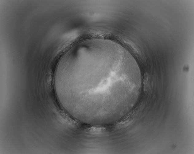 X0000095120314200712301806