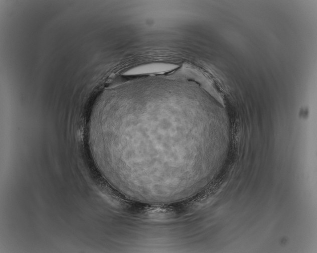 X0000095120315200712301806