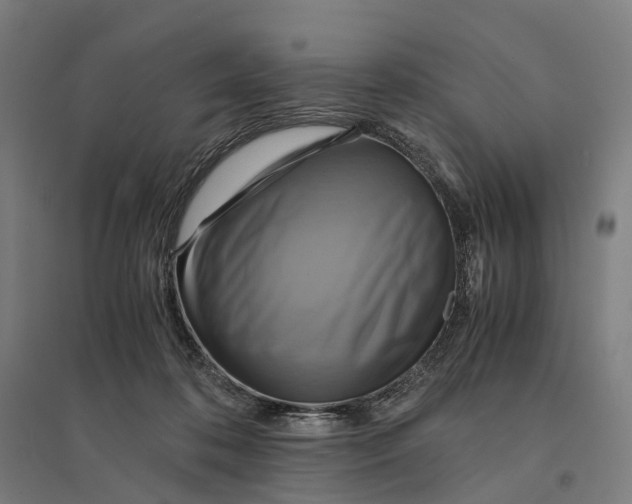 X0000095120316200712301806