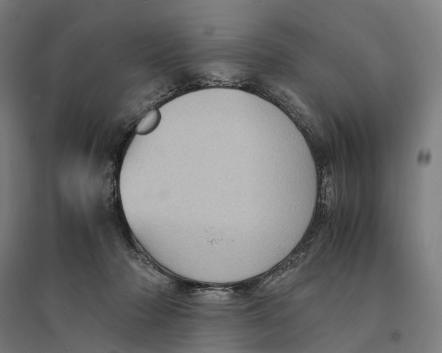 X0000095120318200712301806