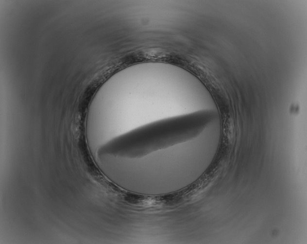 X0000095120319200712301806