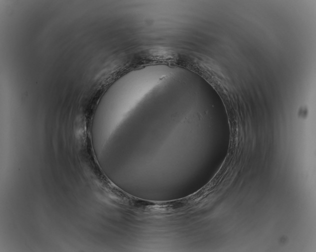 X0000095120320200712301806