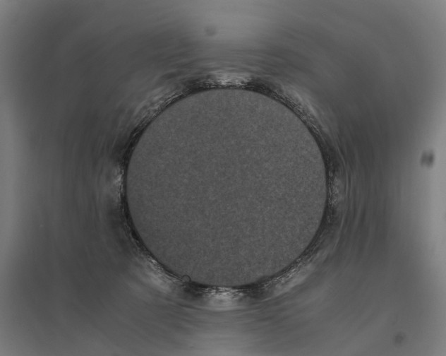 X0000095120321200712301806