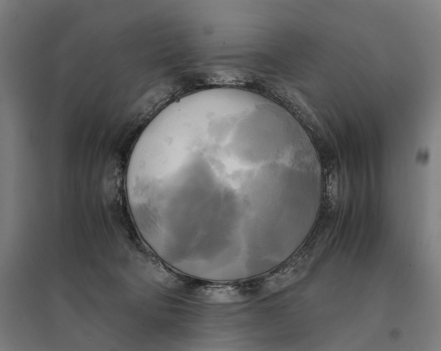 X0000095120322200712301806