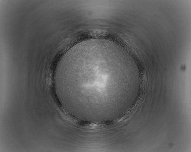 X0000095120323200712301806