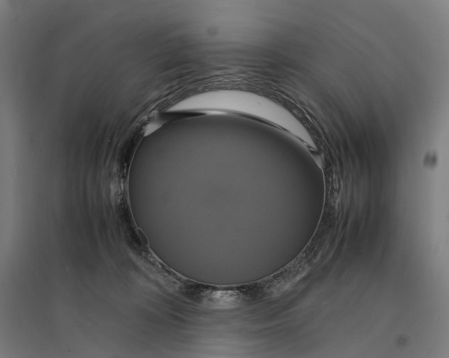 X0000095120324200712301806