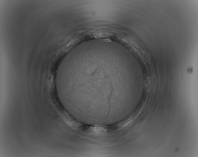 X0000095120327200712301806