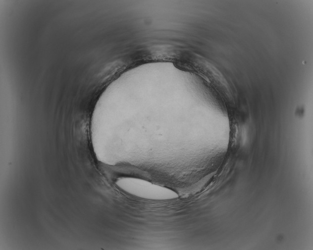 X0000095120329200712301806