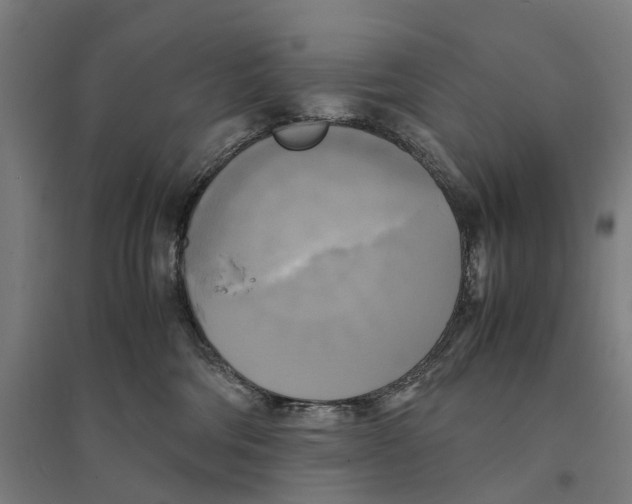 X0000095120330200712301806