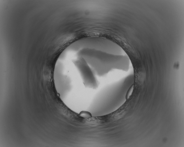 X0000095120331200712301806