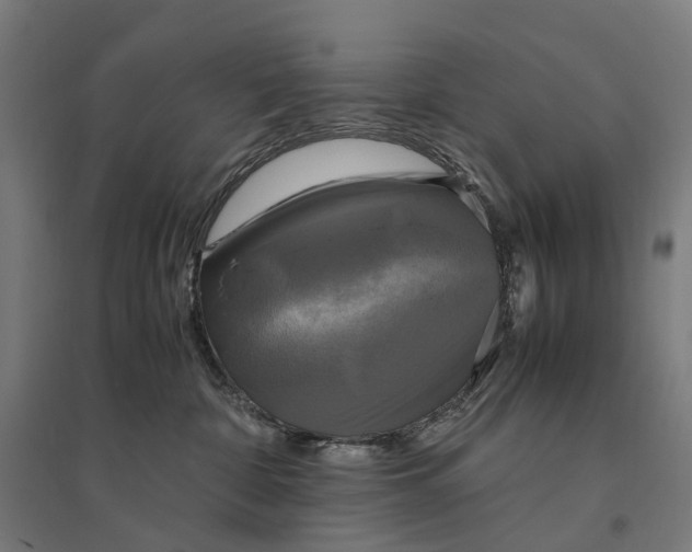 X0000095120332200712301806