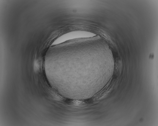 X0000095120333200712301806