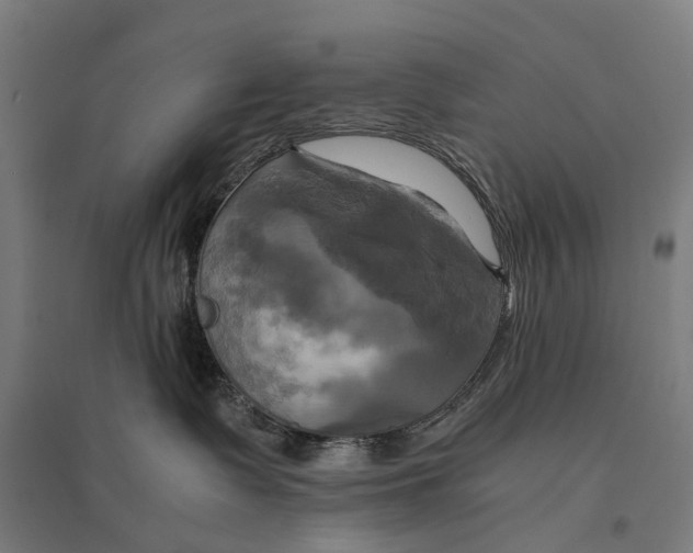 X0000095120335200712301806