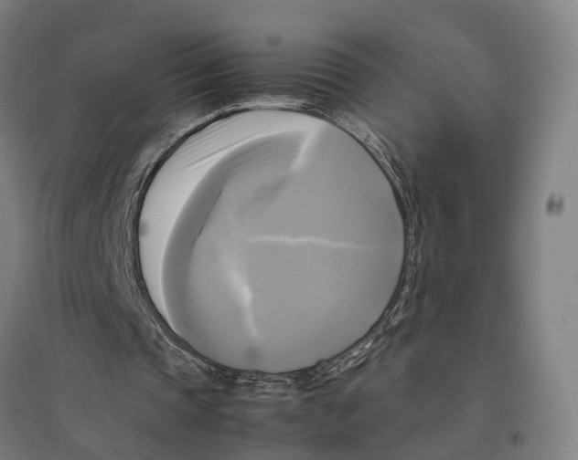 X0000095120337200712301805