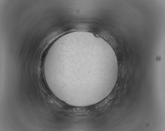 X0000095120338200712301805