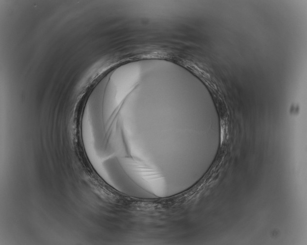 X0000095120339200712301805