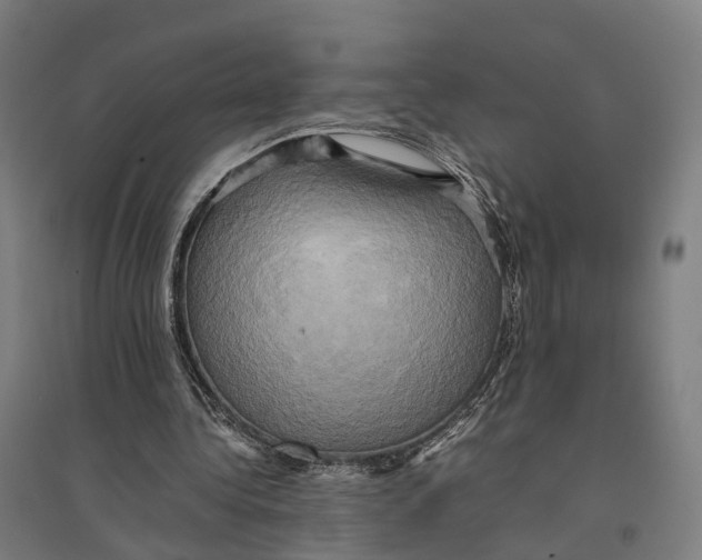 X0000095120340200712301805