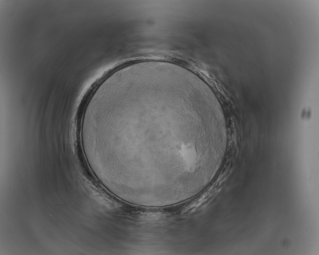 X0000095120342200712301805