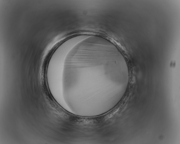 X0000095120343200712301805