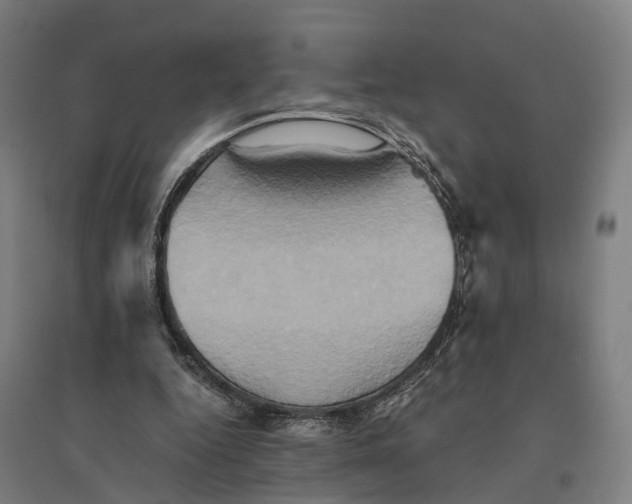 X0000095120344200712301805